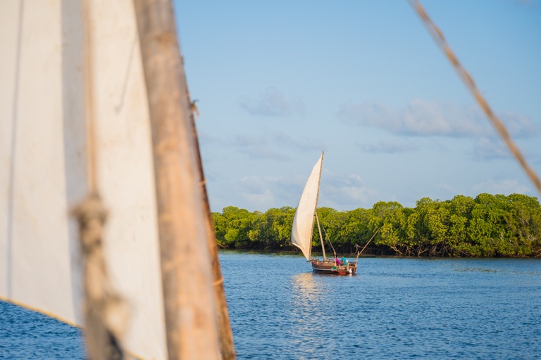 Dhow trips
