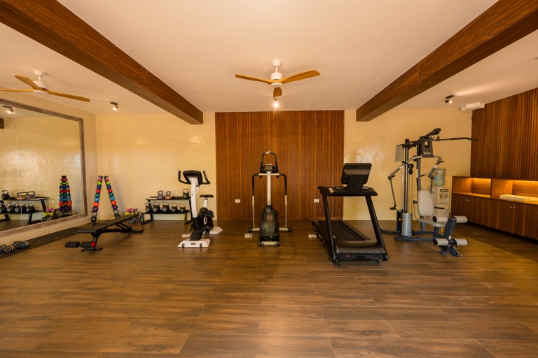 The gym